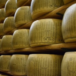 parmigiano-reggiano-1574185_640
