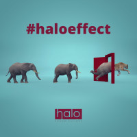 halo-effect